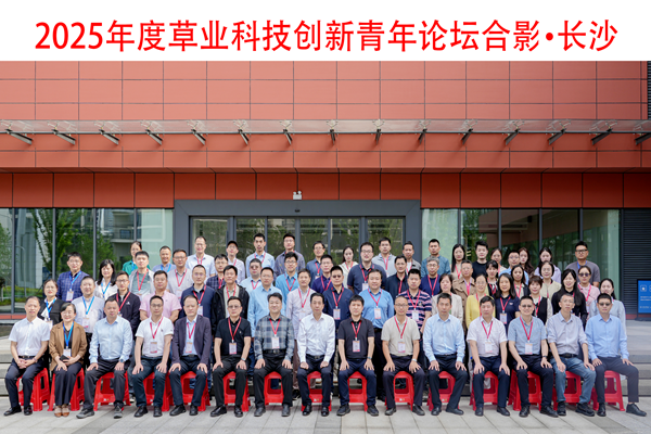 无标题_副本_副本.png