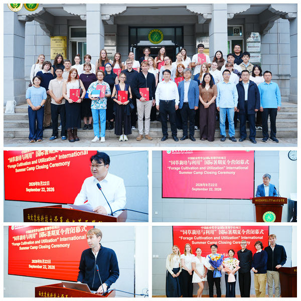 光影魔术手拼图.jpg