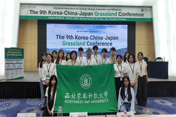 0525a2f9ad6c7247fea428bbb9549256_副本.png